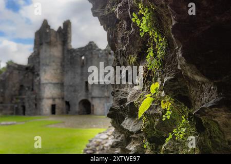 Il castello di Balvenie è un castello in rovina a nord di Dufftown nella regione di Moray in Scozia. Foto Stock