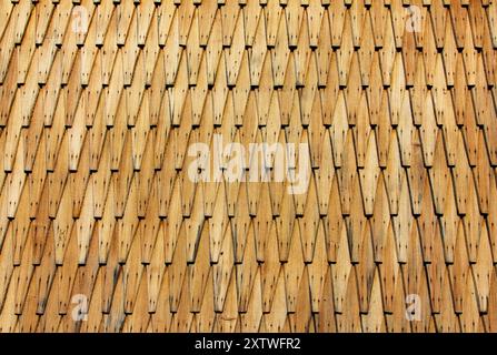 Ciottoli di legno delle Alpi della Transilvania, Romania Foto Stock