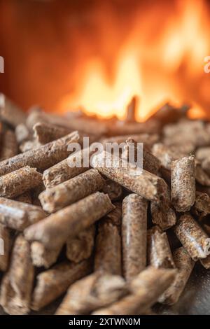 pellet davanti al vetro di una stufa con una bella fiamma, riscaldamento sostenibile ed ecologico. Concetto di carburante biologico Foto Stock