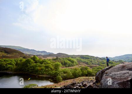 Un escursionista si erge su un affioramento roccioso che si affaccia su un tranquillo lago con dolci colline sullo sfondo sotto un cielo limpido. Foto Stock