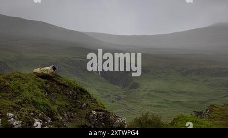 Le magiche colline verdi con le pecore di Fairy Glen in una giornata nebbiosa e nuvolosa con la formazione rocciosa "Castle Ewan" sull'isola di Skye penisola in Scozia Foto Stock