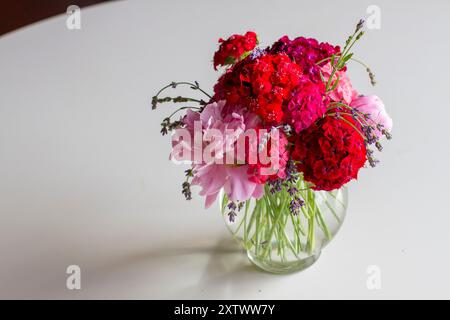 Una vibrante disposizione di peonie rosa e garofani rossi in un vaso di vetro trasparente su una superficie bianca. Foto Stock