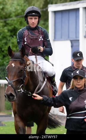 Windsor, Regno Unito. 15 agosto 2024. LIFE ON THE ROCKS cavalcata dal fantino Cam Hardie vince la Tote Placepot Leg 3 Racing League 24 handicap Stakes (Classe 4) (per cavalli in cura agli allenatori iscritti alla Racing League) per il Nord al meeting della Racing League presso il Royal Windsor Racecourse, Windsor, Berkshire. Proprietario Sig. Aidan J Ryan, Trainer Richard Fahey, Malton, breeder CN Farm Ltd Crediti: Maureen McLean/Alamy Live News Foto Stock