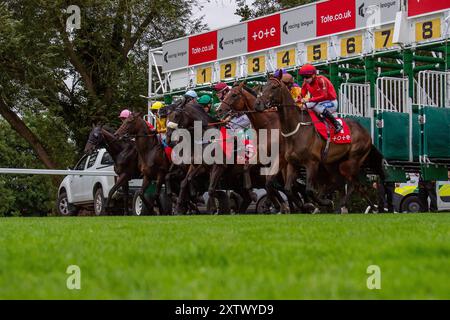 Windsor, Regno Unito. 15 agosto 2024. I cavalli lasciano le bancarelle nella Tote Placepot Leg 4 Racing League 25 handicap Stakes (Classe 4) (per cavalli in cura di allenatori iscritti alla Racing League) al meeting della Racing League presso il Royal Windsor Racecourse, Windsor, Berkshire. Crediti: Maureen McLean/Alamy Live News Foto Stock