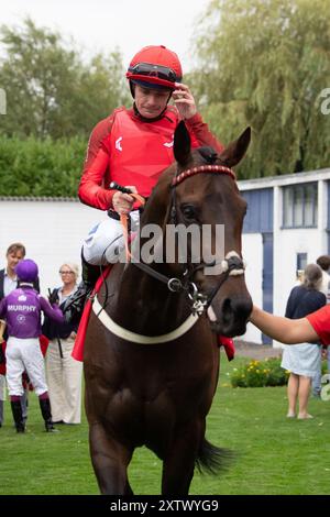 Windsor, Regno Unito. 15 agosto 2024. LA BREZZA NOTTURNA guidata dal fantino Kieran o'Neill vince la Tote Placepot Leg 4 Racing League 25 handicap Stakes (Classe 4) (per cavalli in cura agli allenatori iscritti alla Racing League) per il Galles e l'Occidente al meeting della Racing League presso il Royal Windsor Racecourse, Windsor, Berkshire. Proprietario Midtech 2, allenatore Ian Williams, Alvechurch, allevatore Godolphin. Crediti: Maureen McLean/Alamy Live News Foto Stock