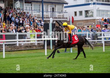 Windsor, Regno Unito. 15 agosto 2024. NAZRON guidato dal fantino Daniel Muscutt vince la Tote Placepot Leg 1 Racing League 22 handicap Stakes (Classe 4) (per cavalli in cura agli allenatori iscritti alla Racing League) per l'Est al meeting della Racing League presso il Royal Windsor Racecourse, Windsor, Berkshire. Proprietario Hasan Mefareh Alajmi, allenatore Roger Varian, Newmarket, allevatore China Horse Club International Ltd Crediti: Maureen McLean/Alamy Live News Foto Stock