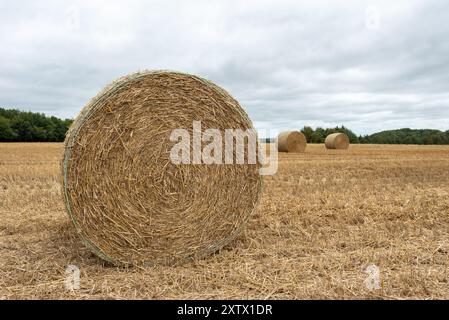 Baccelli di fieno arrotolati nella campagna inglese. Foto Stock