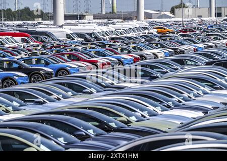 Area di stoccaggio per le autovetture nuove nel porto di Vlissingen-Oost, i veicoli sono temporaneamente immagazzinati su oltre 100 ettari per spedirli dall'Europa all'Unione Foto Stock