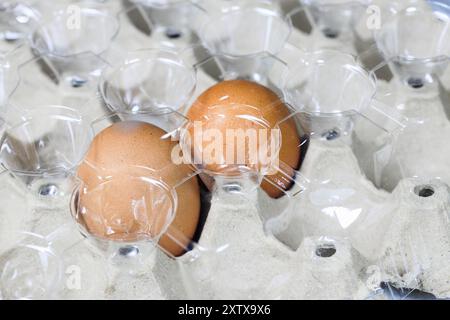 Un paio di uova di pollo in confezione di polietilene tereftalato (PET o PETE) con luce naturale. Foto Stock