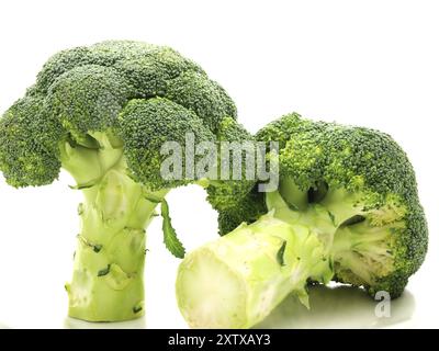 Broccoli, uno in piedi, uno in posa, verso lo sfondo bianco Foto Stock