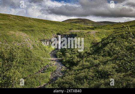 Cascata di Svartifoss circondata da colonne di basalto scuro in Islanda Foto Stock