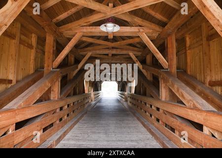 Historische Holzbruecke ueber die Saale bei Kunitz, Jena storico ponte in legno sul Saale vicino Kunitz, Jena Foto Stock