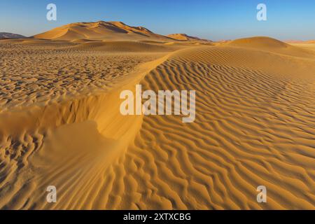 Rub al-Shali, il più grande deserto della terra in Oman, Rub al-Chali, quartiere vuoto di nea, Salalah, Governatorato di Dhofar, Oman, Asia Foto Stock