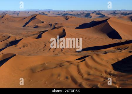 Africa, Namibia, dune di sabbia di Sossusvlei, Sossusvlei, Namibia, Africa Foto Stock