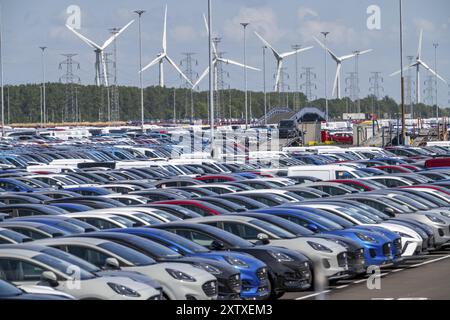 Area di stoccaggio per le autovetture nuove nel porto di Vlissingen-Oost, i veicoli sono temporaneamente immagazzinati su oltre 100 ettari per spedirli dall'Europa all'Unione Foto Stock