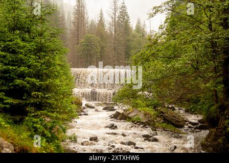 Cascata e torrenziale in discesa dopo forti piogge sulle montagne rumene Foto Stock