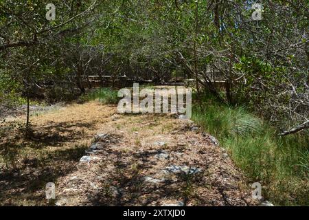 X'cambo, sito archeologico Maya sulla costa dello Yucatan. Foto Stock