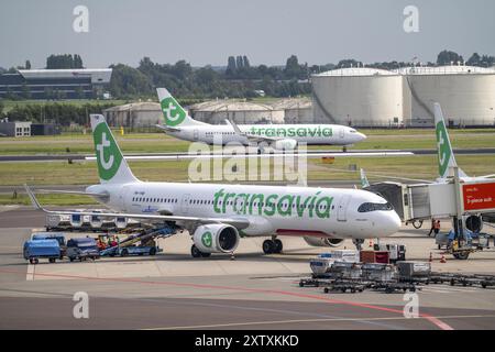 Aeroporto Schiphol di Amsterdam, volo Transavia in decollo sulla pista di Aalsmeerbaan, aeromobile al terminal, porte C, check-in, piazzale, Amsterdam, N Foto Stock