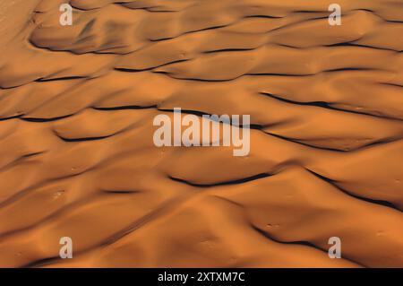 Africa, Namibia, dune di sabbia di Sossusvlei, Sossusvlei, Namibia, Africa Foto Stock