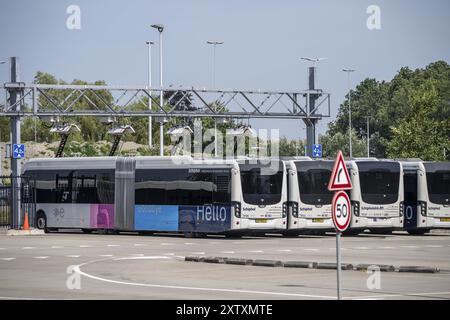 Stazione di ricarica rapida per autobus elettrici presso l'aeroporto Schiphol di Amsterdam, l'intera flotta di autobus per il trasporto passeggeri è elettrica, oltre 200 veicoli, Foto Stock