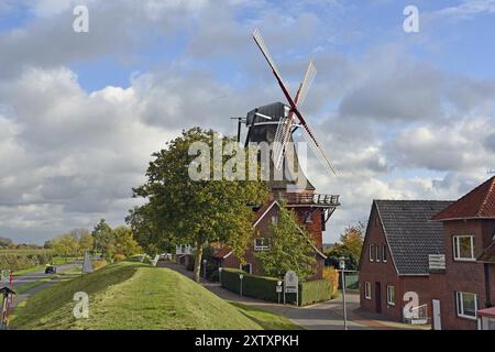 Europa, Germania, bassa Sassonia, regione metropolitana di Amburgo, Altes Land, quartiere di Stade, Jork-Borstel, il mulino a vento Galerie-Hollaender Aurora sull'Elba d'Elba Foto Stock