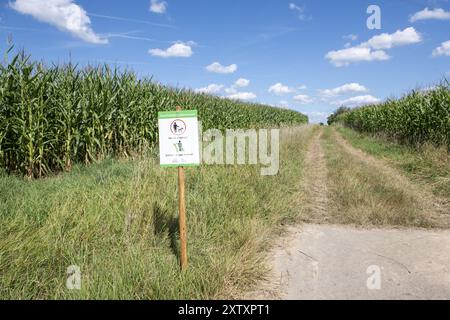 Segnalate ai proprietari di cani che dovrebbero rimanere sui sentieri e che i cani devono essere tenuti in testa. NABU, benessere degli animali, campi, percorsi, campi di mais, pr Foto Stock