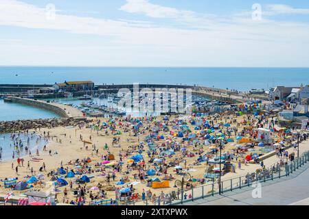 Lyme Regis, Dorset, Regno Unito. 16 agosto 2024. Meteo nel Regno Unito: Turisti e bagnanti affollano la spiaggia affollata della località balneare di Lyme Regis per crogiolarsi al caldo sole di agosto. Crediti: Celia McMahon/Alamy Live News Foto Stock