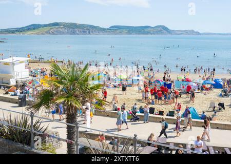 Lyme Regis, Dorset, Regno Unito. 16 agosto 2024. Meteo nel Regno Unito: Turisti e bagnanti affollano la spiaggia affollata della località balneare di Lyme Regis per crogiolarsi al caldo sole di agosto. Crediti: Celia McMahon/Alamy Live News Foto Stock