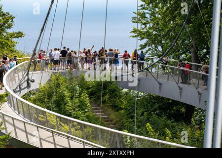 Sassnitz, Germania. 16 agosto 2024. I turisti visitano lo Skywalk sulle scogliere del Parco Nazionale di Jasmund vicino a Sassnitz sull'isola di Rügen, sui terreni del Centro Parco Nazionale di Königsstuhl. Quest'anno, il Königsstuhl National Park Centre, sede originale del dipinto di Caspar David Friedrich "Chalk Cliffs on Rügen", ospita una settimana di romanticismo dal 19 al 25 agosto. Crediti: Stefan Sauer/dpa/Alamy Live News Foto Stock