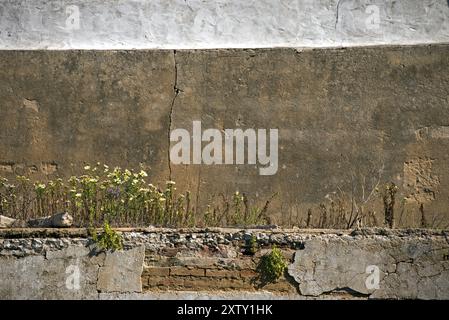 Dettaglio di una casa abbandonata dettaglio di una casa rovinata Foto Stock