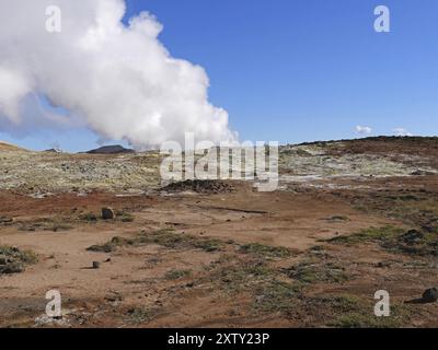 L'area ad alta temperatura di Gunnuhver in Islanda Foto Stock