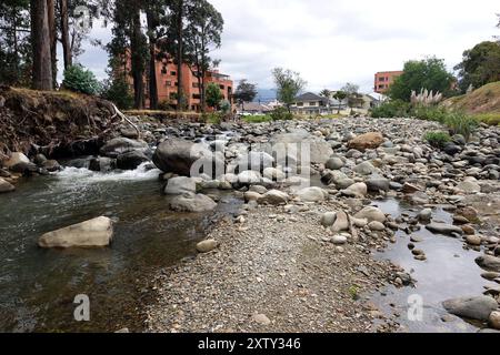 TOMEBAMBA BACINO IDROGRAFICO A BASSA PORTATA Cuenca, Ecuador 16 agosto, 2024 i flussi del fiume Tomebamba sono a 0,93 m3 di livello d'acqua basso il più basso Yanuncay e Tarqui e Machangara a basso livello d'acqua ETAPA EP monitora costantemente l'evoluzione dei flussi dei fiumi della città il flusso del fiume Tomebamba è al di sotto del basso livello d'acqua, contando 35 giorni di siccità idrologica ad oggi foto Boris Romoleroux API SOI CUENCACA RIOTOMEBAMBACAUDALBAJO 9dc1adcb6383bc4673b130f869d3922d Copyright: xBORISxROMOLEROUXx Foto Stock