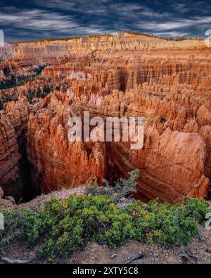 Bryce Canyon National Park, Utah Foto Stock