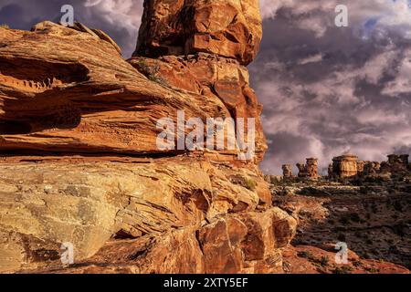 Formazioni di arenaria Navajo, Canyonlands National Monument (area meridionale) Utah Foto Stock