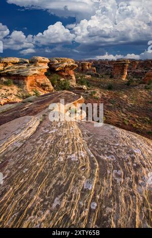 Exfoliating Sandstone, Canyonlands National Monument (area meridionale), Utah Foto Stock