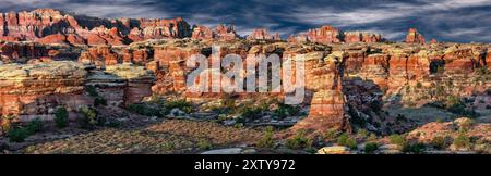 The Needles, monumento nazionale delle Canyonlands (zona meridionale), Utah Foto Stock