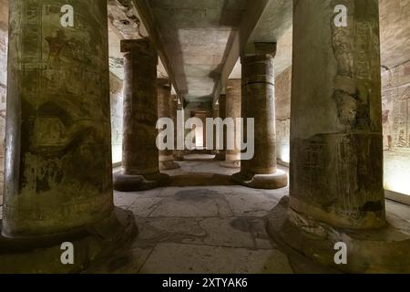 Tempio di Abido, tempio di Seti i, santuario interno, sala Osiride, riva occidentale del Nilo, Sohag (Suhag, Suhaj), Egitto, Africa settentrionale, Africa Foto Stock