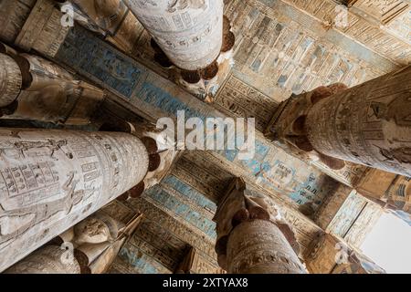 Complesso del tempio di Dendera (Denderah), tempio di Hathor, vestibolo ipostilo con rilievo e dipinti, Governatorato di Qena, Egitto, Nord Africa, Africa Foto Stock