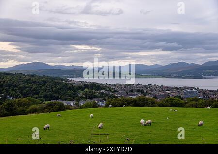 Fotografia paesaggistica del punto panoramico della città, costiero; lungo il fiume; pecore, pascolo, sera, punto panoramico, Scozia; Regno Unito; Greenock Foto Stock