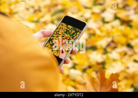 Primo piano di una persona che tiene in mano uno smartphone e scatta una foto di una vibrante foglie autunnali nel parco Foto Stock