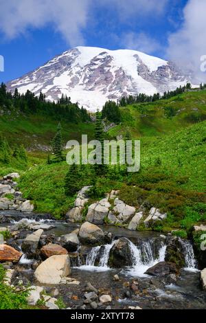Edith Creek che scorre di fronte al vulcano Mount Raininer in estate con prato verde Foto Stock