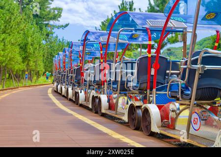 Samcheok, Corea del Sud - 29 luglio 2024: Una fila di colorate bici ferroviarie a quattro posti è ordinatamente allineata alla fermata Chogok Rest lungo la ferrovia marina di Samcheok Foto Stock