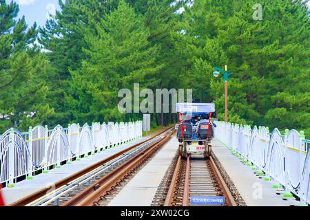 Samcheok, Corea del Sud - 29 luglio 2024: Una bici in treno a quattro posti percorre il percorso Samcheok Marine Rail Bike, attraversando una tranquilla pineta, Foto Stock