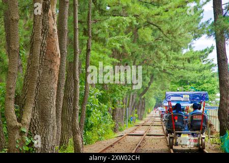 Samcheok, Corea del Sud - 29 luglio 2024: Una bici a quattro posti scivola lungo il percorso Samcheok Marine Rail Bike, viaggiando attraverso un tranquillo albero-li Foto Stock