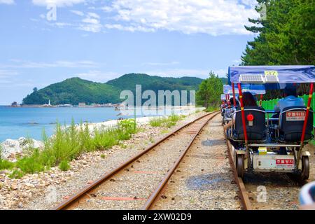 Samcheok, Corea del Sud - 29 luglio 2024: Una bici in treno viaggia lungo il percorso Samcheok Marine Rail Bike, offrendo una vista pittoresca del porto di Chogok Foto Stock
