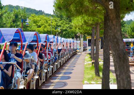 Samcheok, Corea del Sud - 29 luglio 2024: Una linea di bici ferroviarie a quattro posti piena di passeggeri attende la partenza alla fermata Chogok Rest lungo il Samcheok Foto Stock