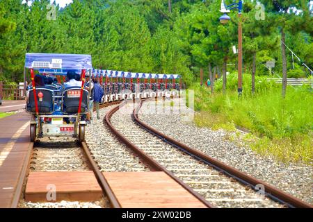 Samcheok, Corea del Sud - 29 luglio 2024: Una linea di bici ferroviarie a quattro posti attende alla fermata Chogok Rest lungo il percorso Samcheok Marine Rail Bike, surrounde Foto Stock