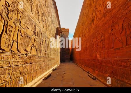 Ricche pareti in arenaria gialla decorate con la storia di Horus e dei re tolemaici nel Tempio di Horus a Edfu costruito durante l'era tolemaica tra il 237 e il 57 a.C. vicino ad Assuan, in Egitto Foto Stock