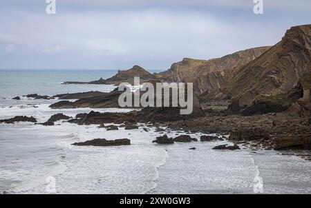 Bassa marea sulla spiaggia di Hartland Quay, sulla costa settentrionale del Devon, Inghilterra occidentale, Regno Unito Foto Stock
