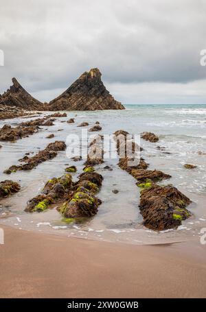 Bassa marea sulla spiaggia di Hartland Quay, sulla costa settentrionale del Devon, Inghilterra occidentale, Regno Unito Foto Stock